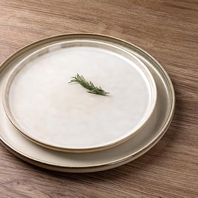 GBHOME Dinnerware Sets for 8, 24 Pieces Ceramic Plates and Bowls Set — view 3